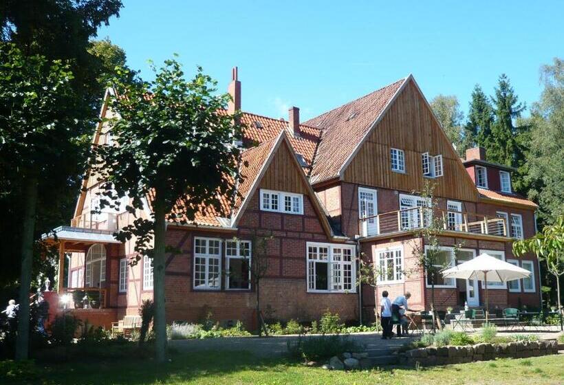 חדר סטנדרט לארבעה, Waldhof Auf Herrenland