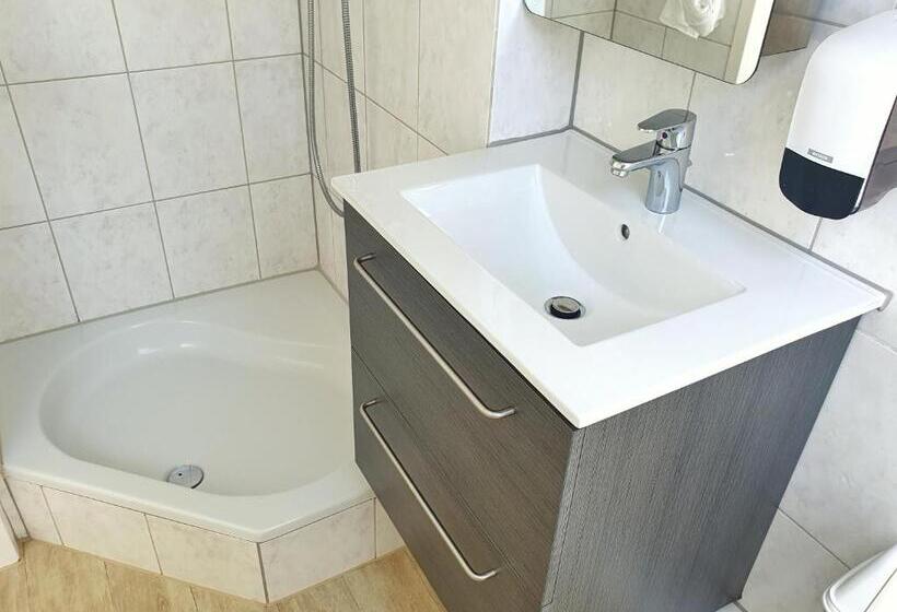 اتاق عادی یک تخته, Aparthotel Marion Weber