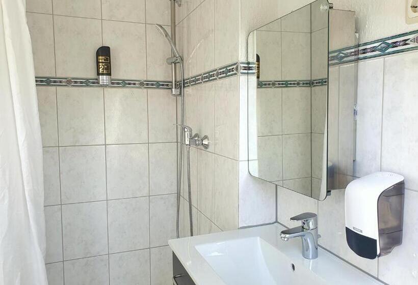 اتاق عادی یک تخته, Aparthotel Marion Weber