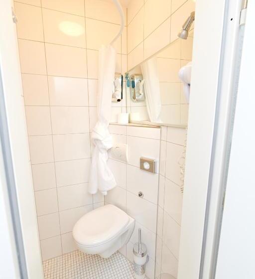 اتاق عادی یک تخته, Aparthotel Marion Weber