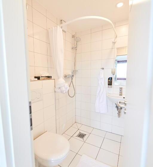 اتاق عادی یک تخته, Aparthotel Marion Weber