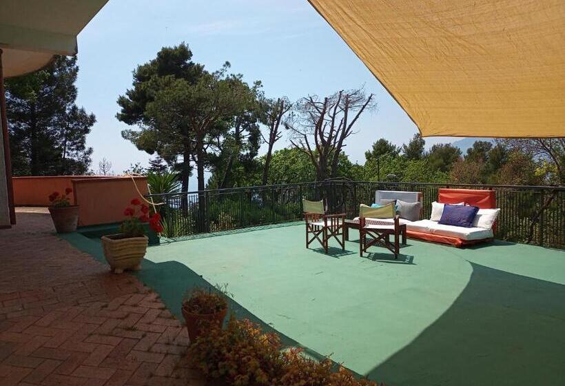 خانه 1 خوابه, Verde Smeraldo