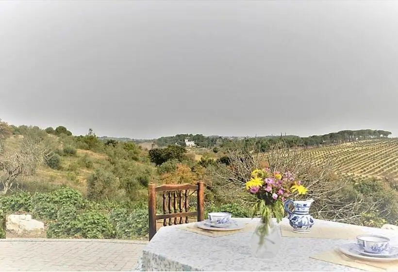 テラス付き１ベッドルームアパートメント, Quinta Da Marmela