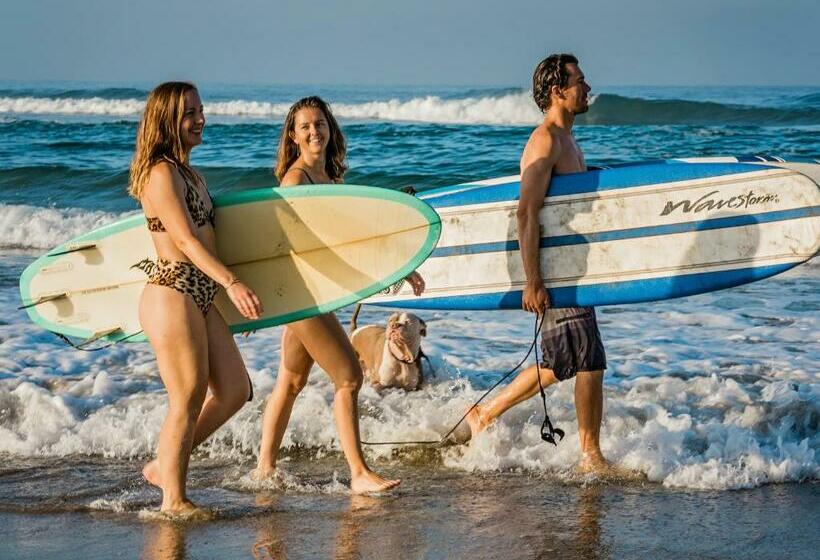 海の見えるスタンダードスタジオ, Topia Retreat   Surf Suite Sur