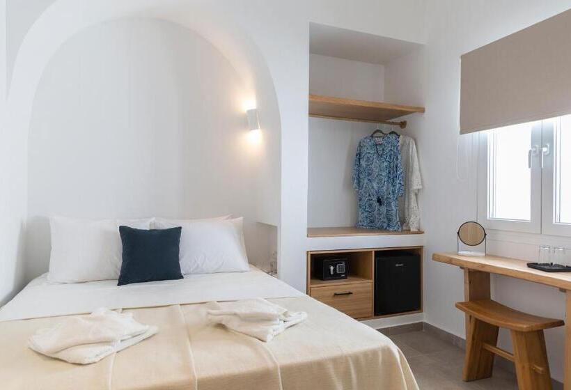 Номер Стандарт, Asimina