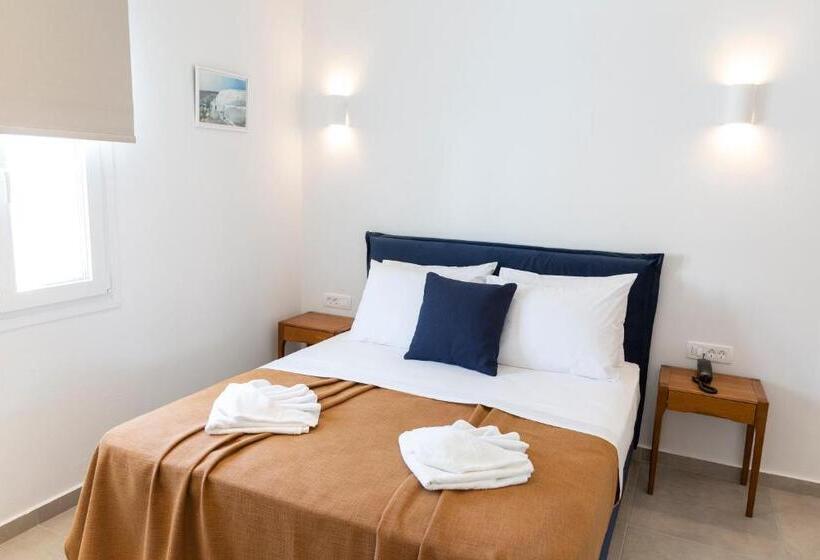 Номер Стандарт, Asimina