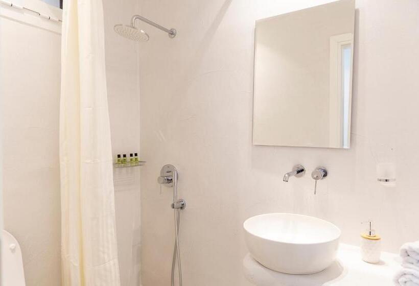 Номер Стандарт, Asimina