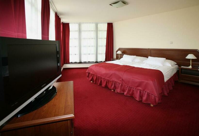 スタンダードルーム, Kitty