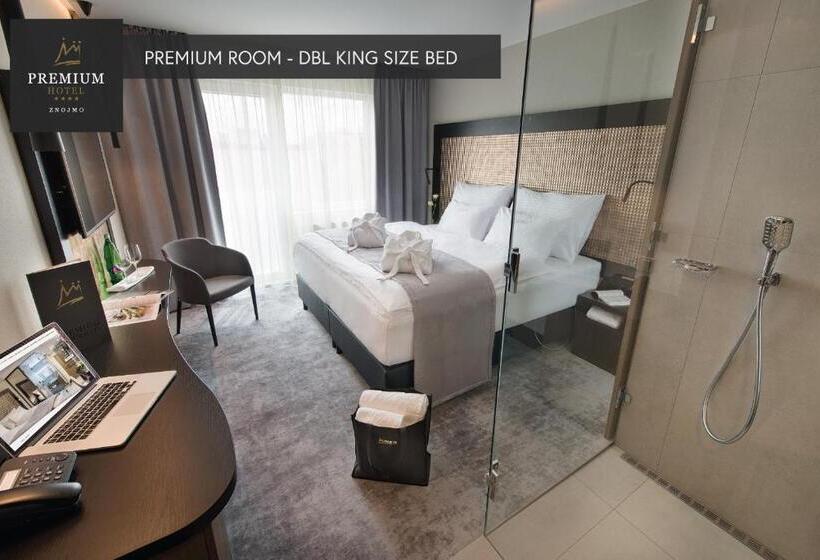 Трежместный Номер Economy, Premium Wellness & Wine Hotel Znojmo