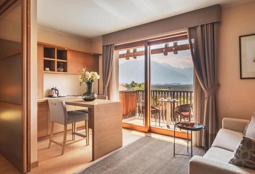 سوئیت جونیور با چشمانداز کوهستان, Art & Design Hotel Napura