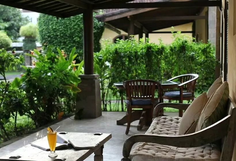 ویلای 1 خوابه, Villa Lalu