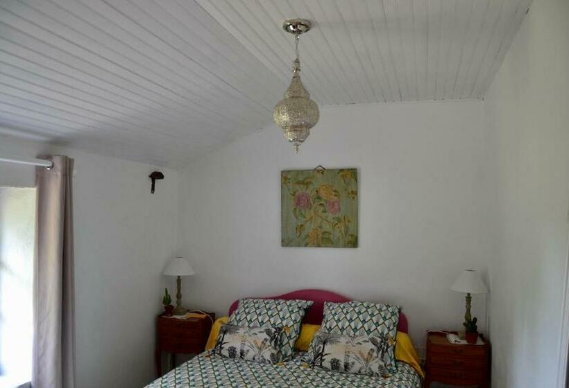 スタンダードルーム, Isis Et Horus Ressourcement