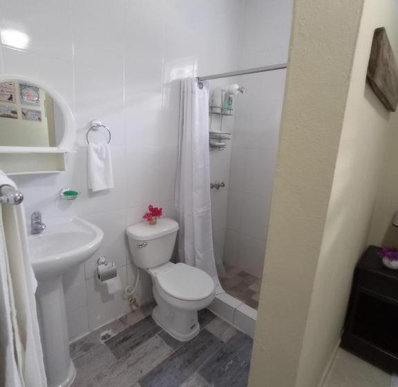 اتاق استاندارد, Paraiso Hortensia Ecolodge