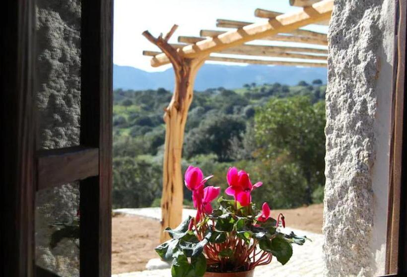 חדר סטנדרט, B&b Isole Di Pietra