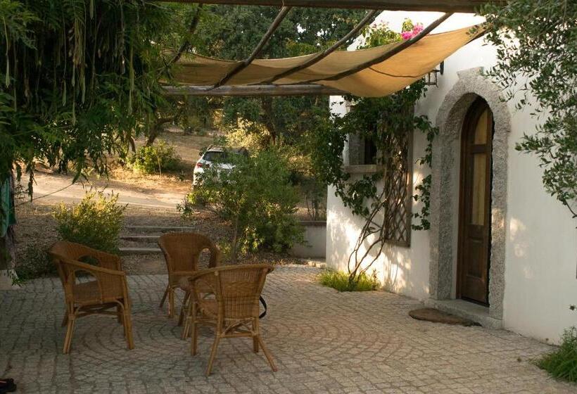 חדר סטנדרט, B&b Isole Di Pietra