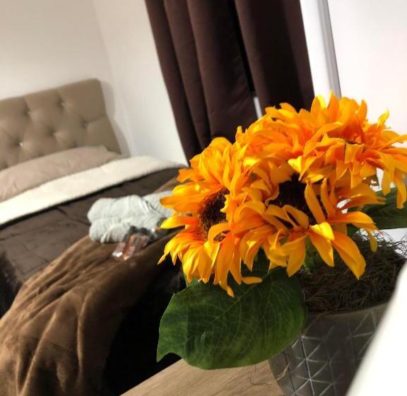 חדר דלוקס, Pouso Primavera