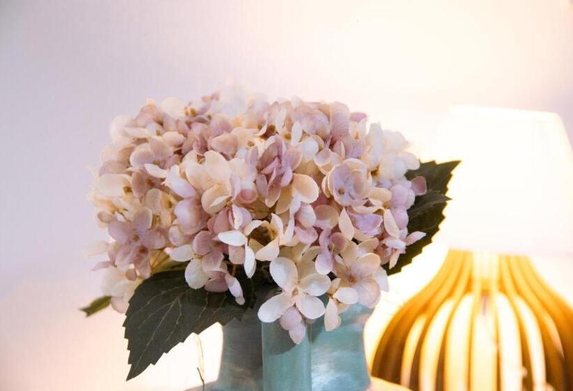 סוויטה דלוקס, Pouso Primavera