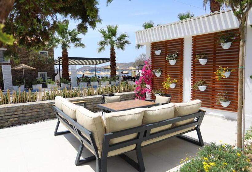 ファミリールーム, Yalinn Boutique