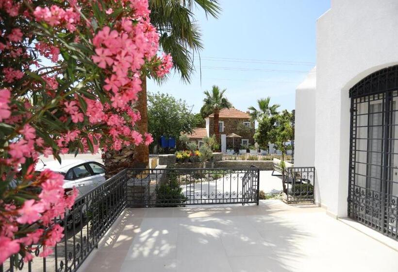 ファミリールーム, Yalinn Boutique