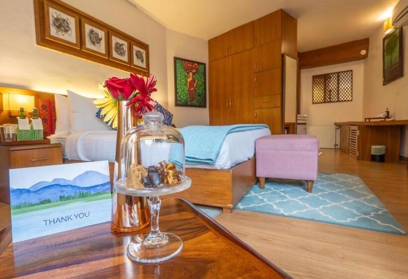 高级大房间, Tree Of Life Eila Art Hotel, Manali