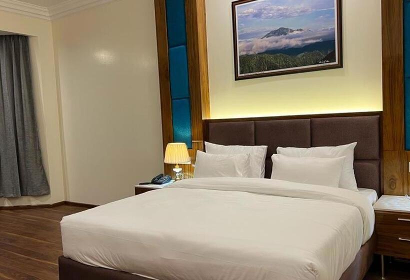 Номер Superior, Woodville Palace