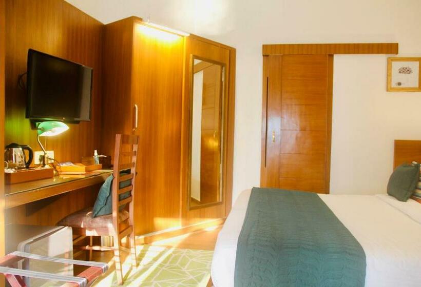 高级大房间, Tree Of Life Eila Art Hotel, Manali