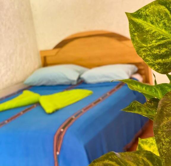 اتاق لوکس, El Mirador De Tansu