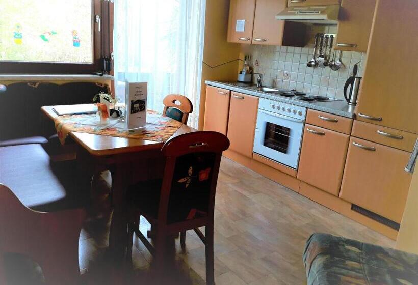 דירת חדר עם טרסה, Pension Mühlenheim