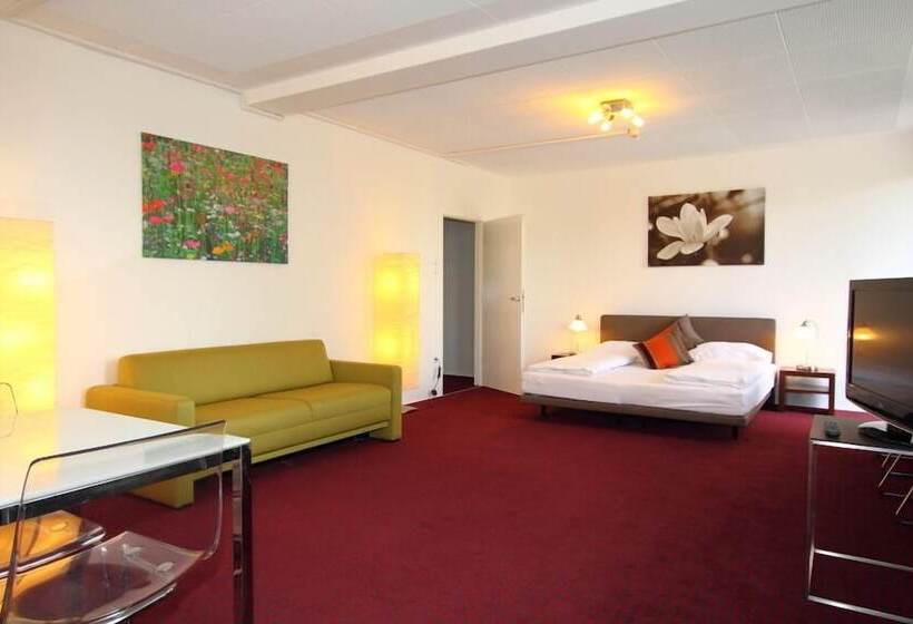 חדר סטודיו סטנדרד, College Garden