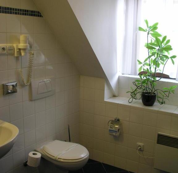 标准单人间, Hejtmanský Dvůr