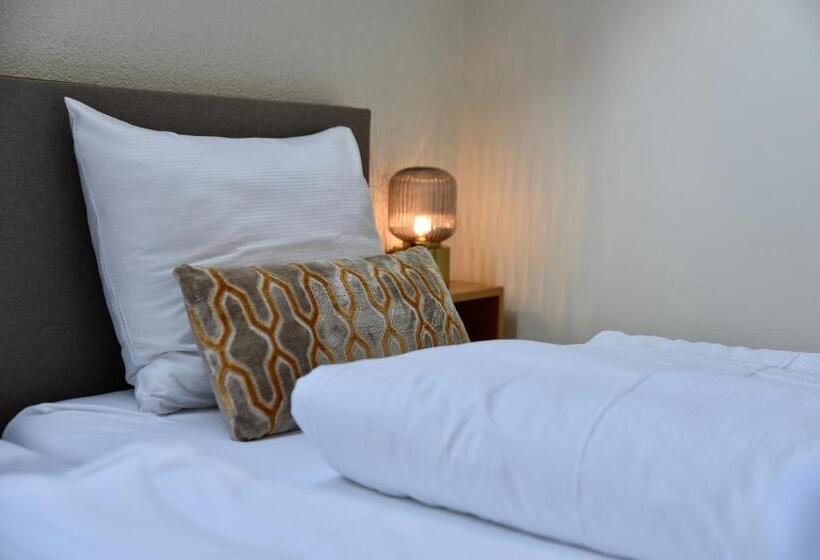 标准间, Hofje Van Maas