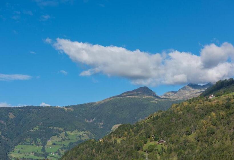 标准间, Mölltalerhof