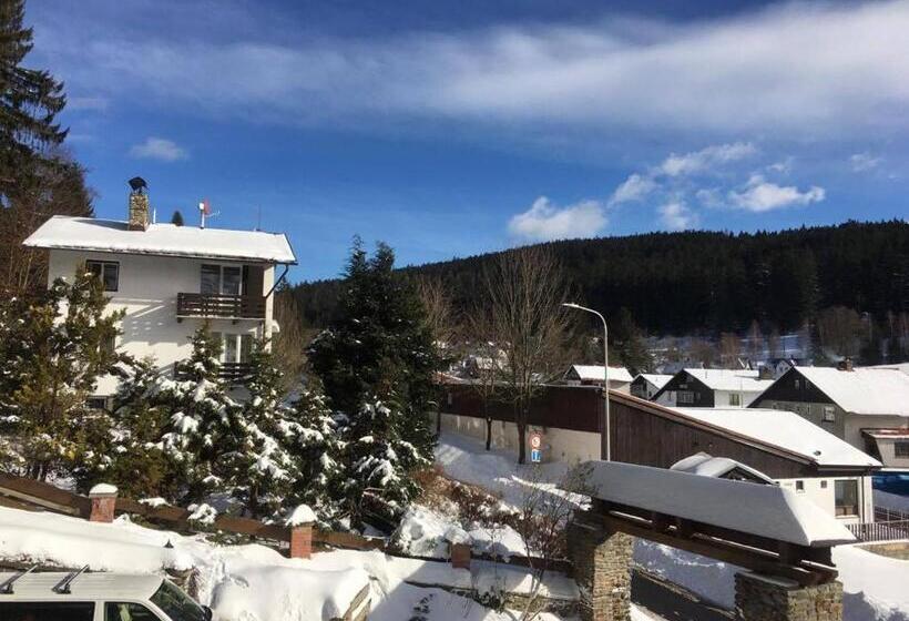 Четырехместный Номер Стандарт с Балконом, Pension St. Moritz