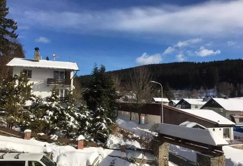 バルコニー付スタンダード４ベッドルーム, Pension St. Moritz