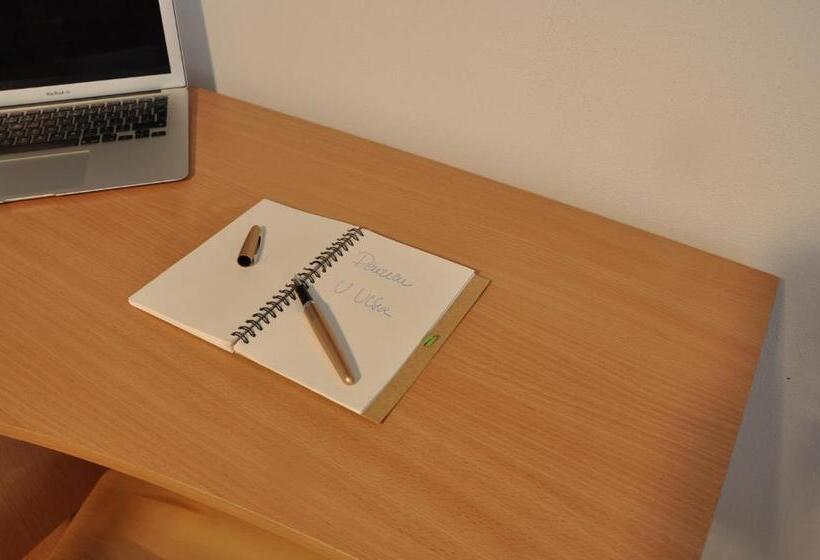 带2个卧室的高级公寓, Penzion U Vlka