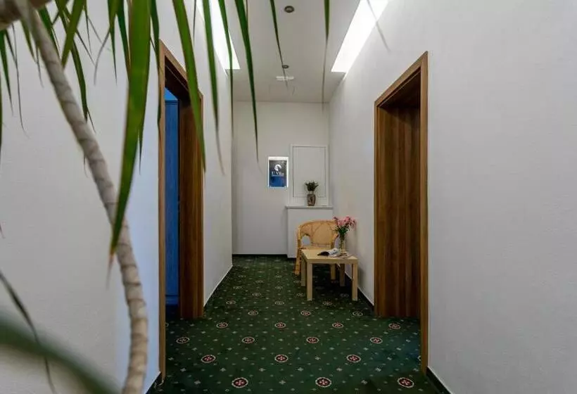 اتاق استاندارد یک نفره, Penzion U Vlka
