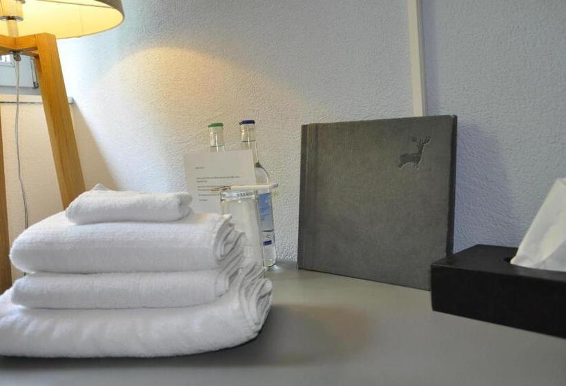 Номер Стандарт Индивидуальный Совместная Ванная, Und Restaurant Zum Hirschen