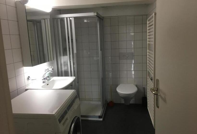 Номер Стандарт Индивидуальный Совместная Ванная, Und Restaurant Zum Hirschen