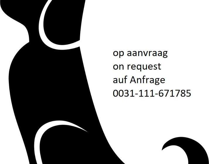 חדר סטנדרט, Resort Land & Zee