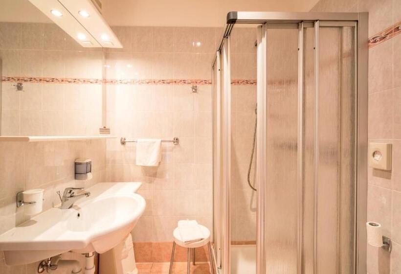 חדר סטנדרט נוף לבריכה, Garni Grüner Baum