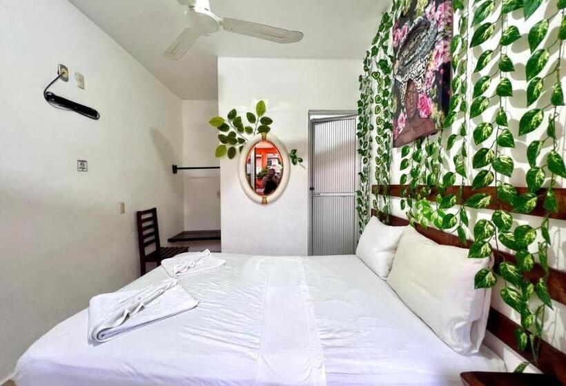 标准间, Casa Piedra Parada