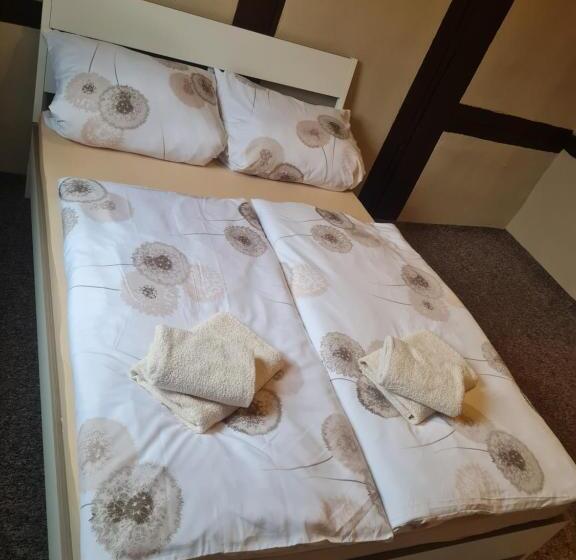 Номер Стандарт Совместная Ванная, Pension Torgau