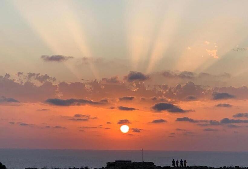 سوئیت جونیور خانوادگی, Fiftyfour West Boutique Living