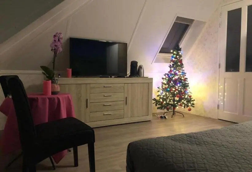ガーデンビュースタンダードルーム, B&b Nancy In Holland