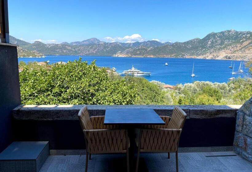 חדר סטנדרט, Vi̇lla Bakacak