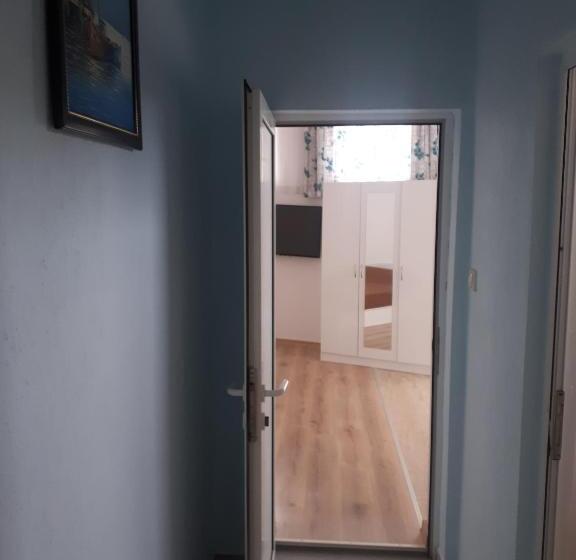 Studiou Familiar, студия лилия