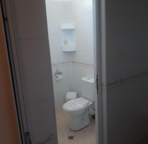 Apartament 1 Dormitor Deluxe, студия лилия