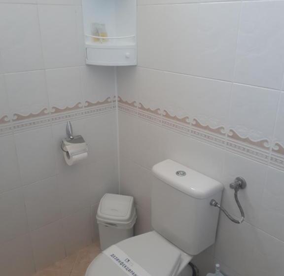 Apartament 1 Dormitor Deluxe, студия лилия