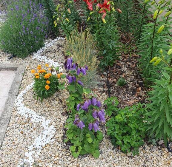 Studio Standard, студия лилия