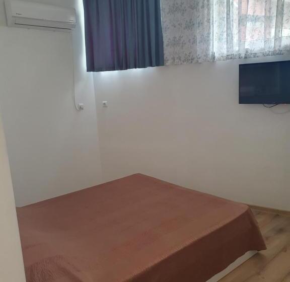 Studio Standard, студия лилия